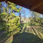 Lonni In Nature Campsite Kuku