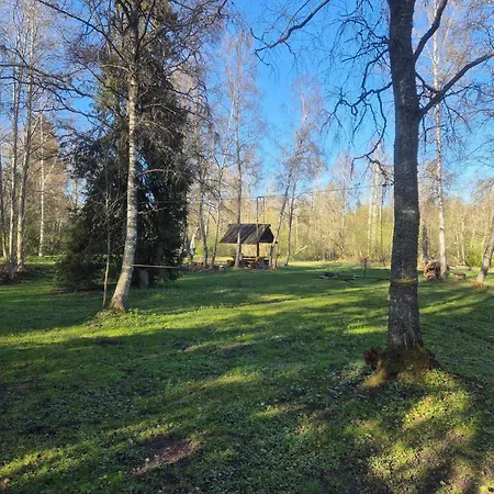 Lonni In Nature